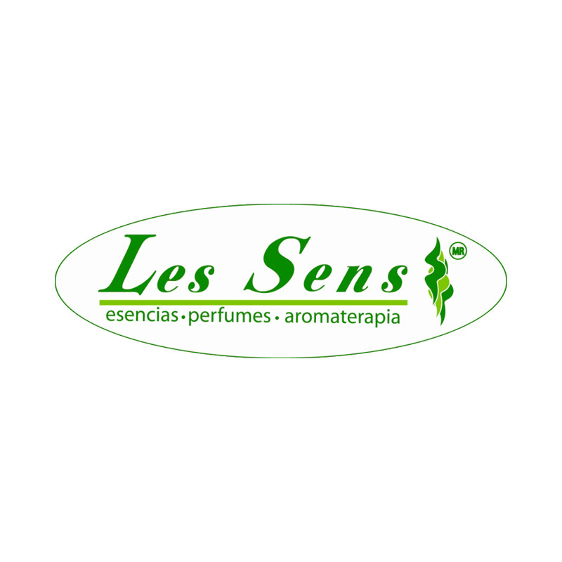 Logo LESSENS